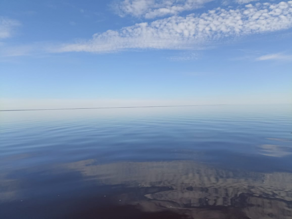 Завершение государственного мониторинга водных биоресурсов на озере Ильмень в 2025 г.