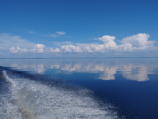 Весенние мониторинговые исследования среды обитания водных биоресурсов озера Ильмень