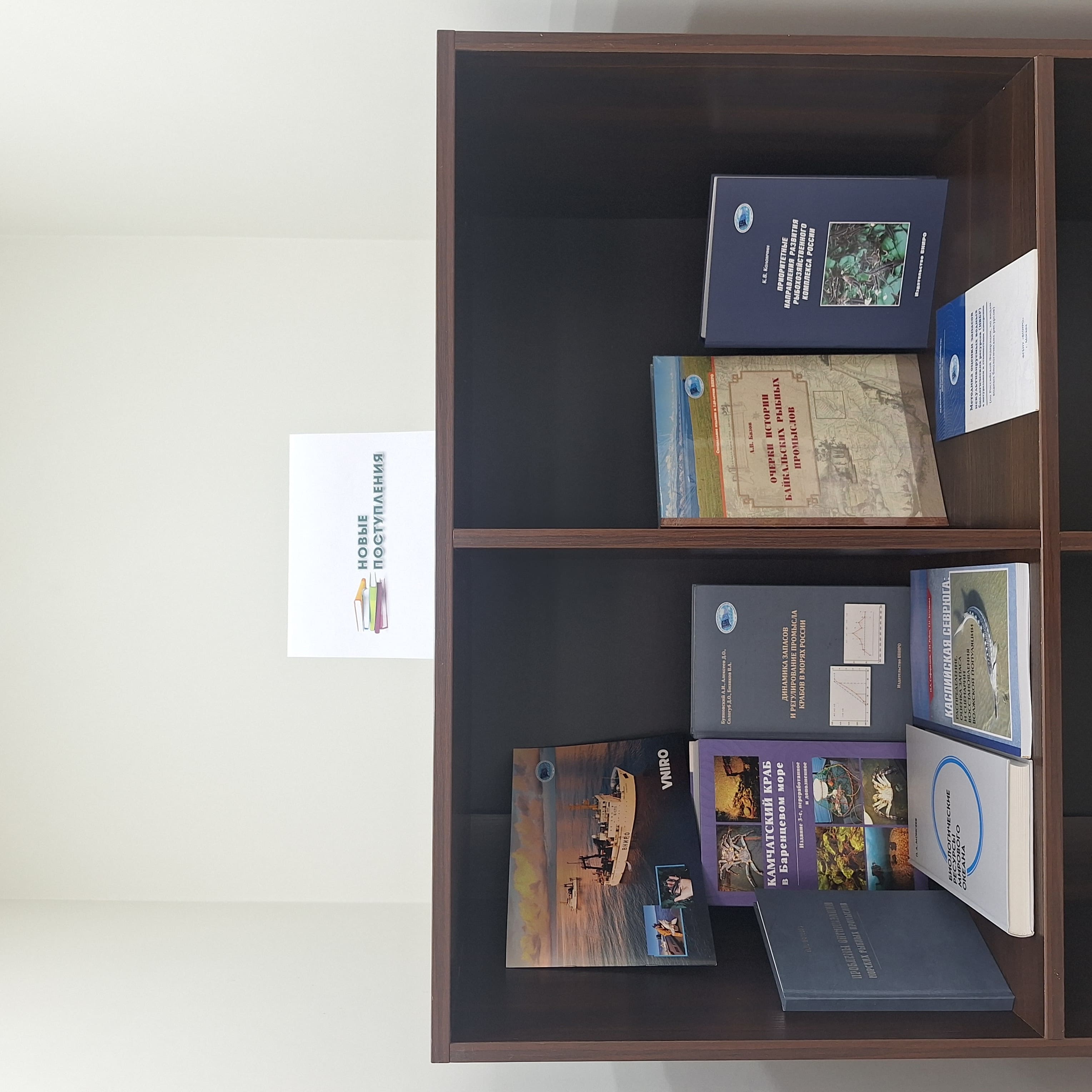 фото 3 сжатаяя